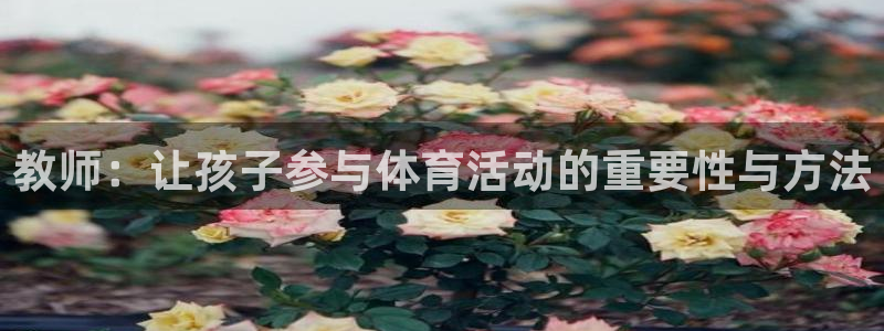 沐鸣22代理注册