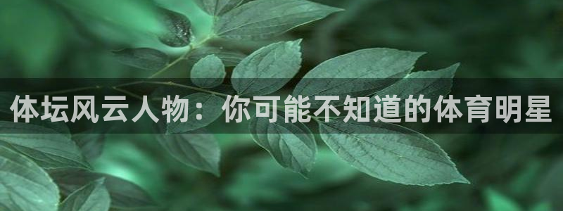 沐鸣2官网注册