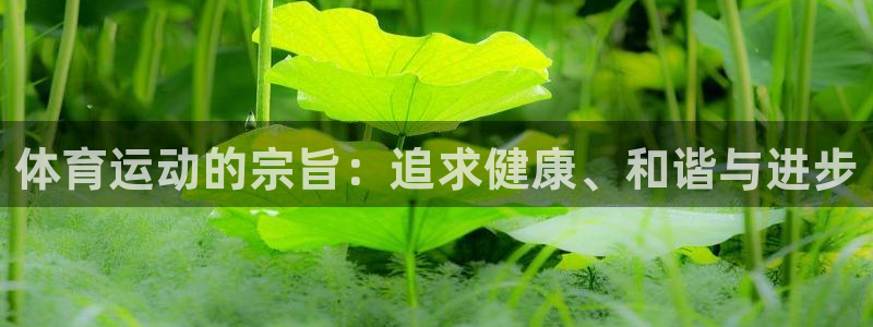 沐鸣2登录