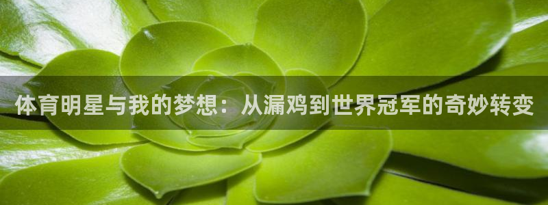 沐鸣25