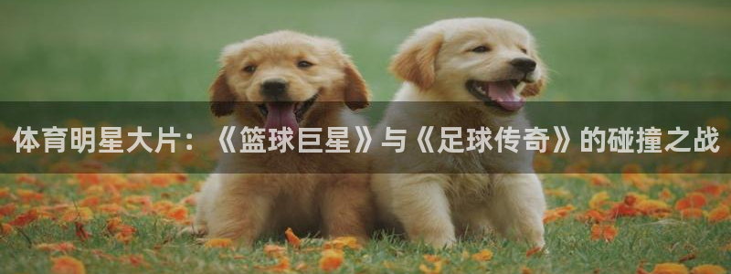 沐鸣2平台官网