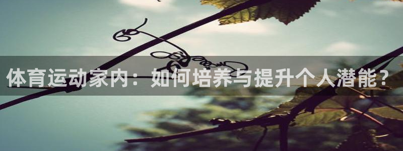 沐鸣2代理