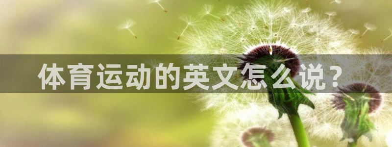 沐鸣2官网登录