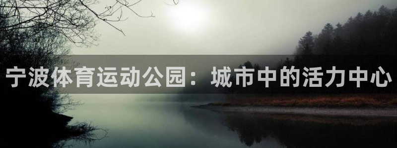 东莞市沐鸣2电子科技有限公司