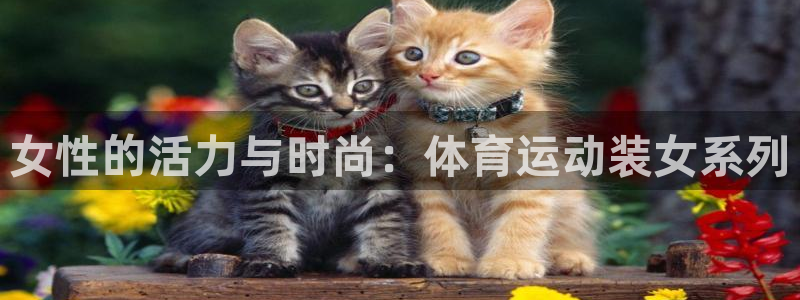 沐鸣2官网注册