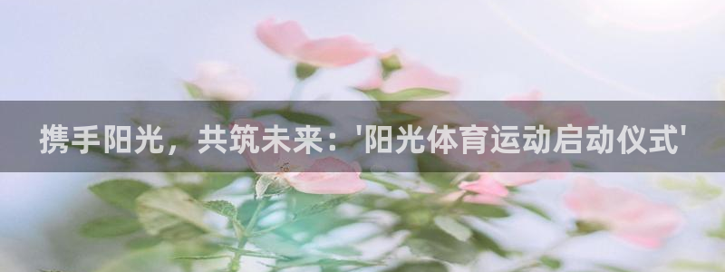 沐鸣2体育代理申请流程