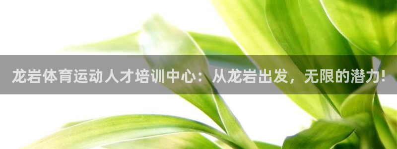 沐鸣2下载