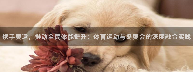 沐鸣娱乐2