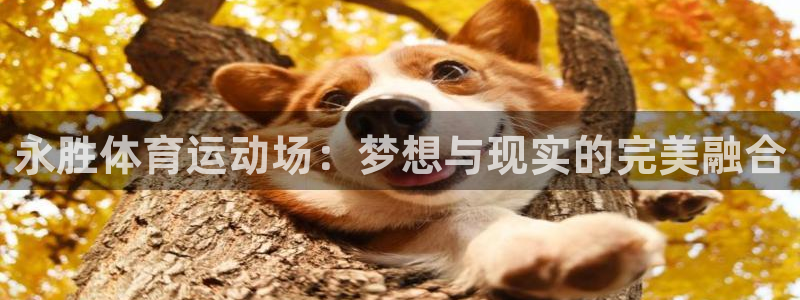 沐鸣25招商