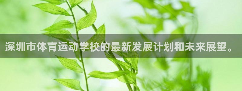 沐鸣2体育app下载