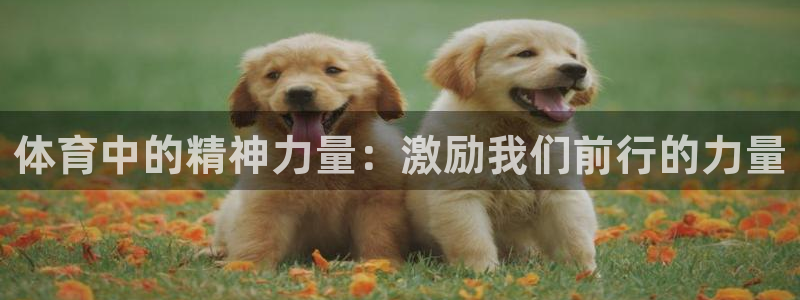 沐鸣2手机登录注册入口