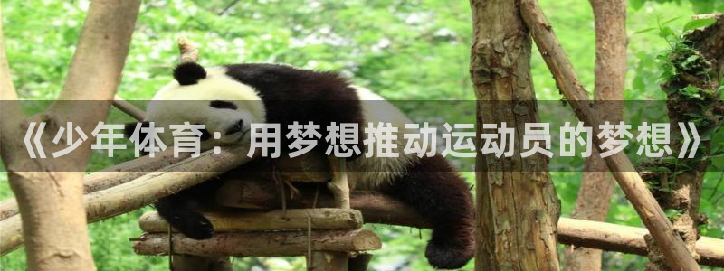 沐鸣2官网