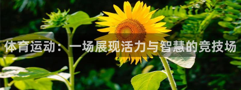 沐鸣2体育凯捷平台主管