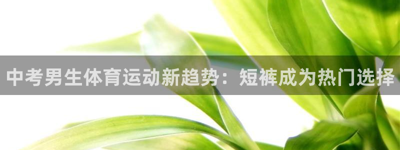 沐鸣2平台在线注册