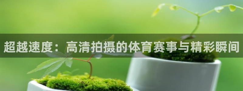 沐鸣2平台招商