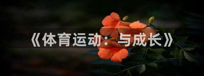 沐鸣2官网登录入口