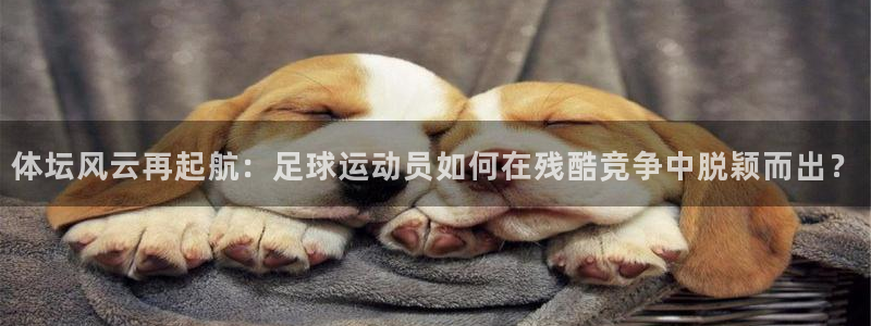 沐鸣注册登录
