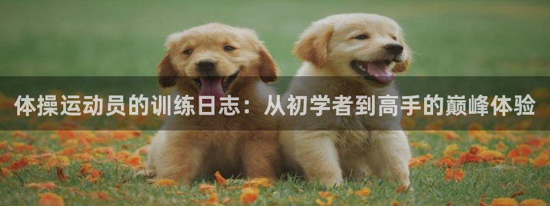 沐鸣平台登录线路